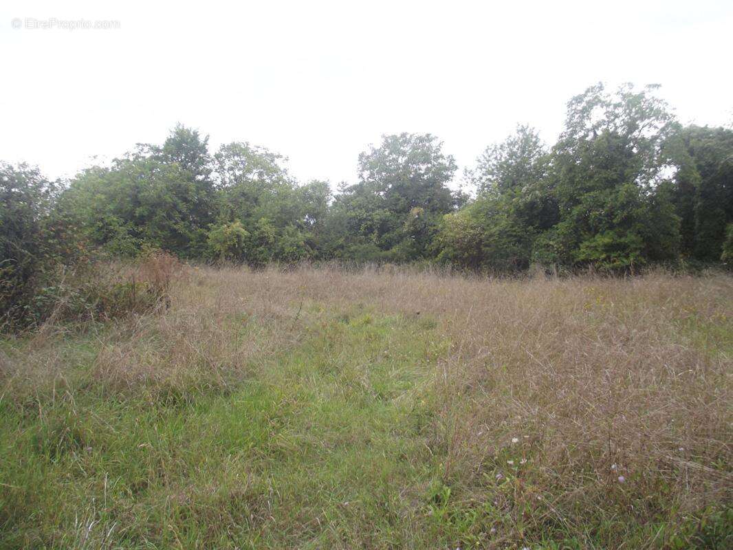 Terrain Constructible - photo 2