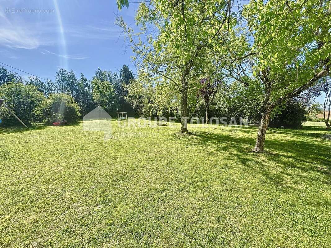 Maison 182 m² à Caraman  - photo 5