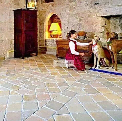 Commerce à PUYLAROQUE