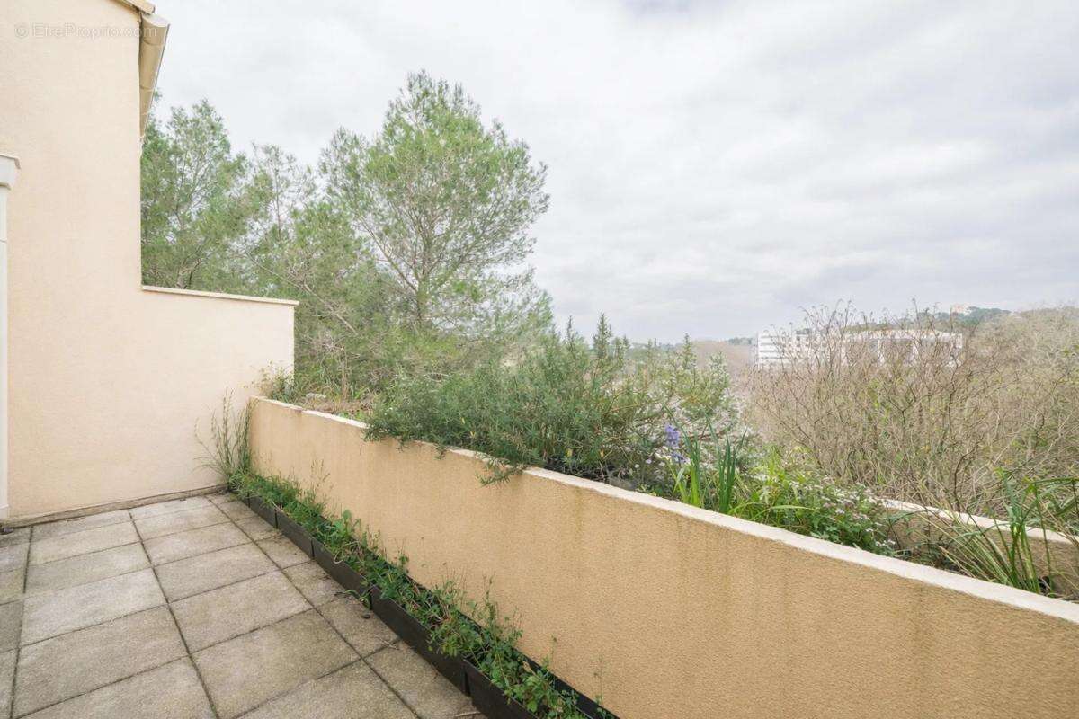 Maison à MONTPELLIER