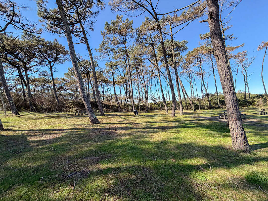 Appartement à MOLIETS-ET-MAA