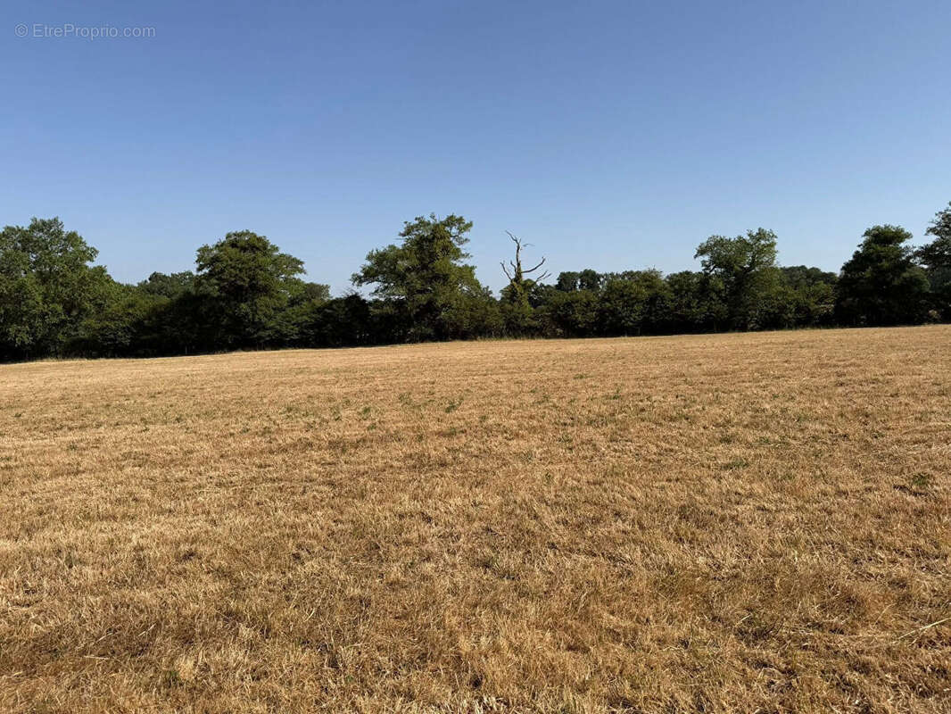 HAUTE VIENNE - Ancienne ferme avec 6 hectares de terrain - photo 14