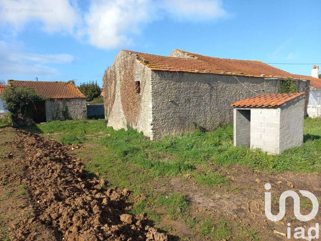 Photo 2 - Maison à SAINT-GEORGES-D'OLERON