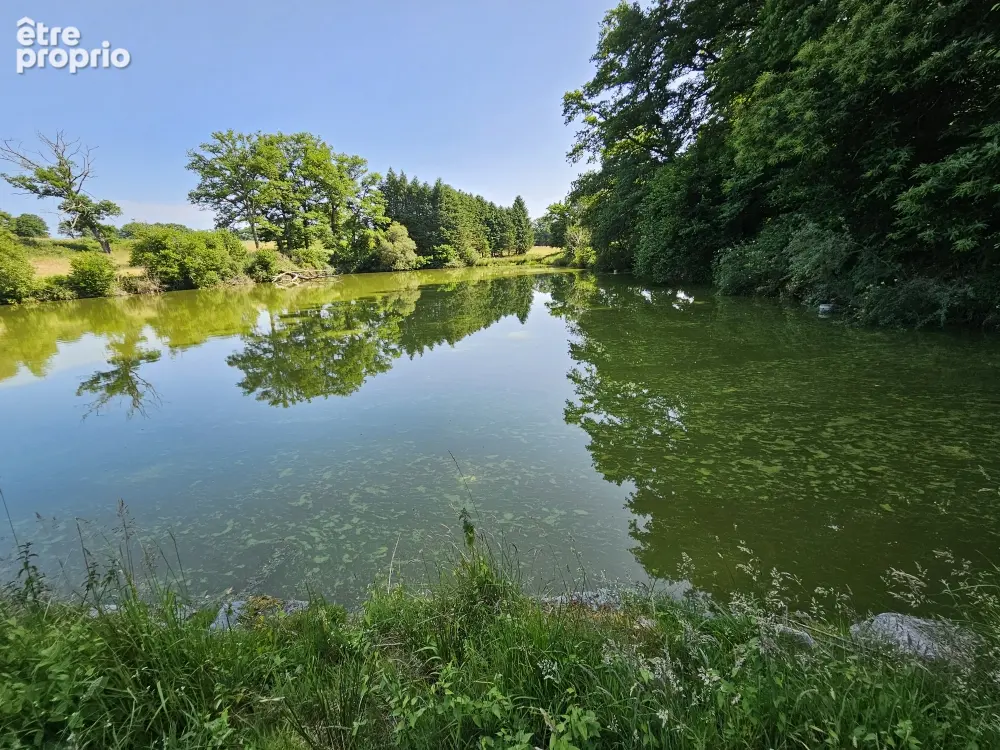 Terrain 26 701 m² à vendre à Saint-Priest-La-Feuille (23300) - photo 336