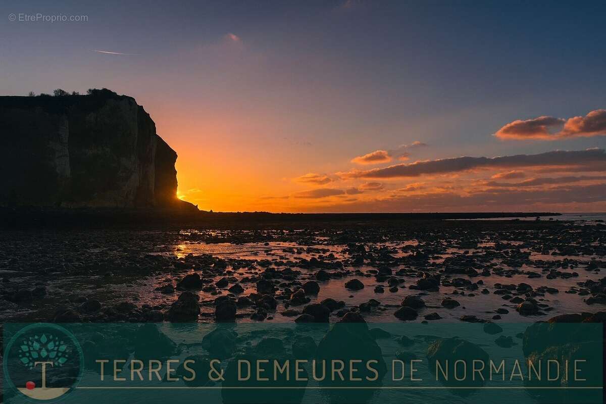 Maison à SASSETOT-LE-MAUCONDUIT