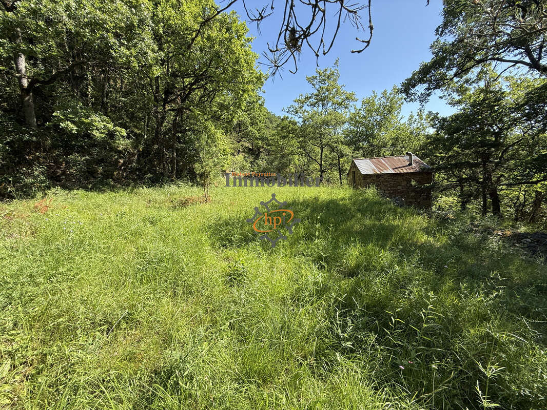 Vente Mazet Versols et Lapeyre, 1,25 hectares de terrains - photo 9