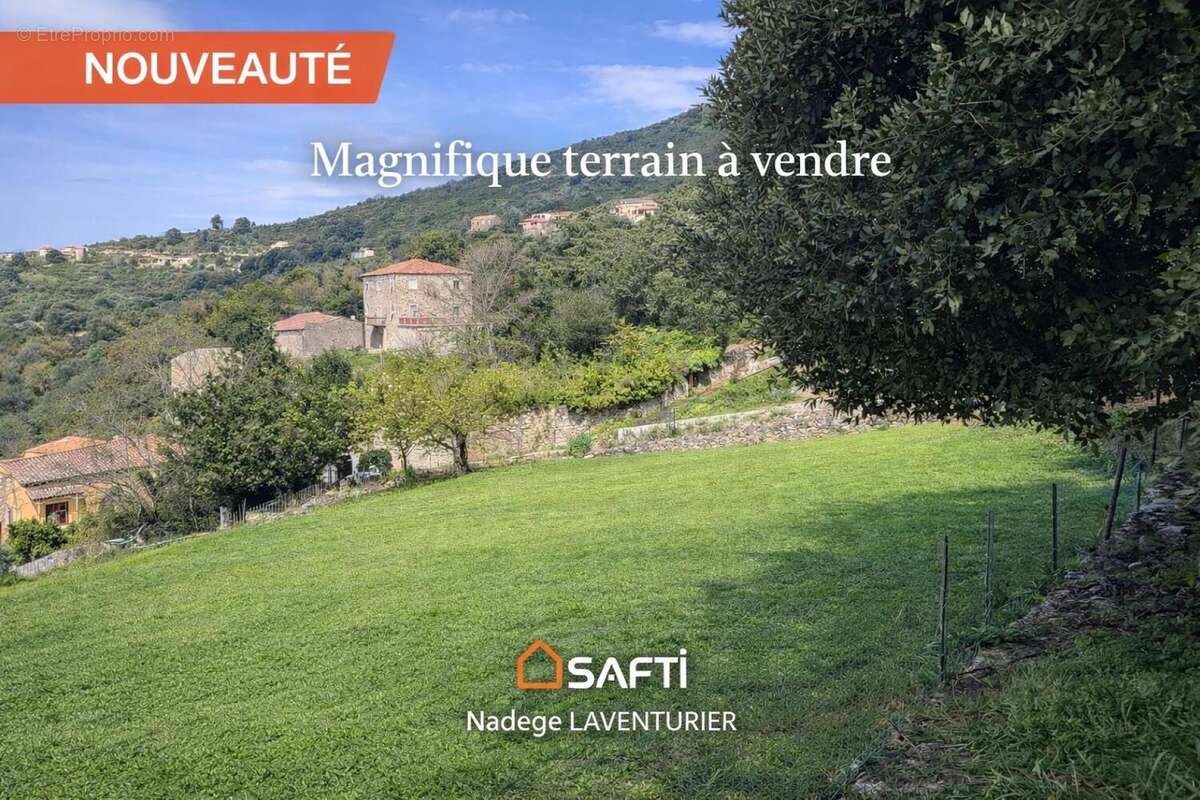 Photo 1 - Terrain à PROPRIANO