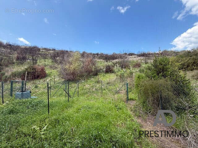 Appartement à OLETTA