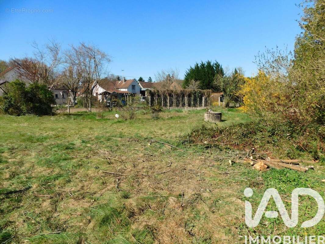 Photo 5 - Terrain à LAMOTTE-BEUVRON
