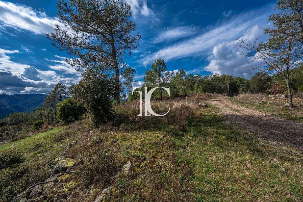 Terrain 9650m² situe plein sud - photo 12