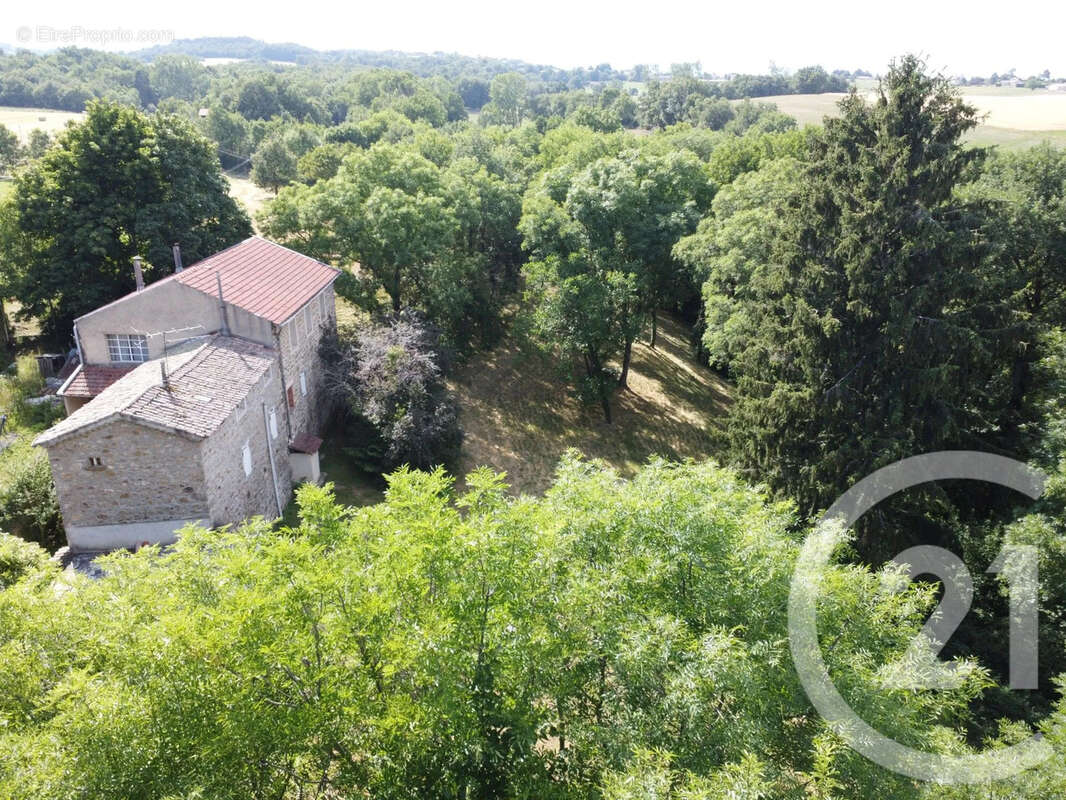 Maison 220 m² à Saint-Jeure-D'ay  - photo 22