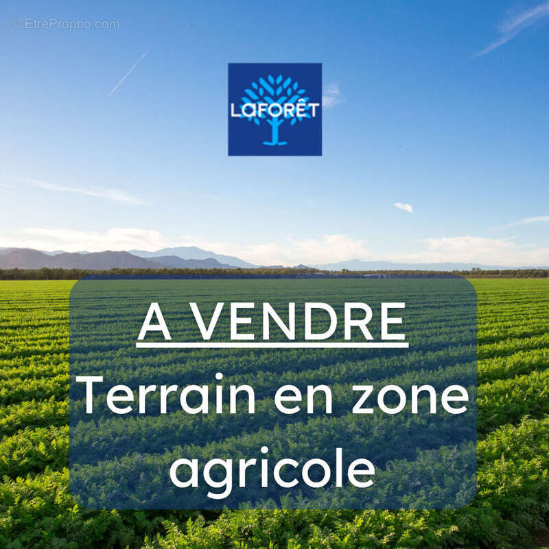 Terrain à PEAULE
