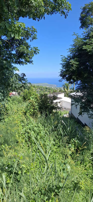 Terrain à SAINT-PAUL