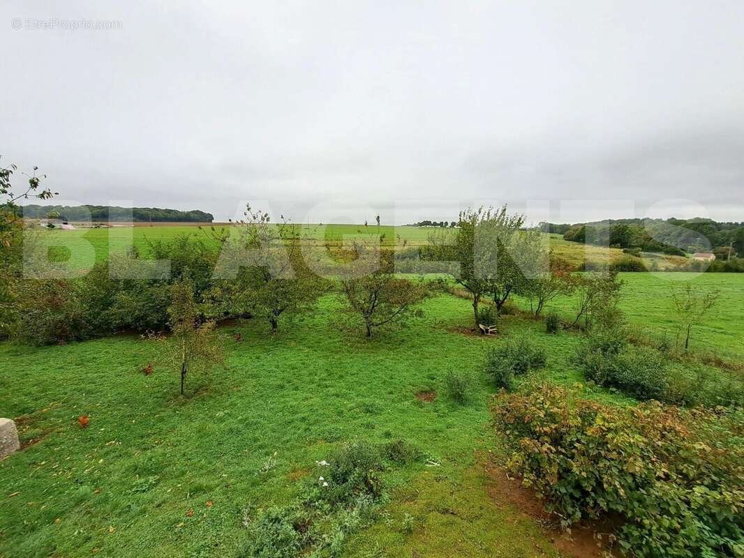 WhatsApp Image 2025-09-26 at 09 - Maison à FRESNOIS-LA-MONTAGNE