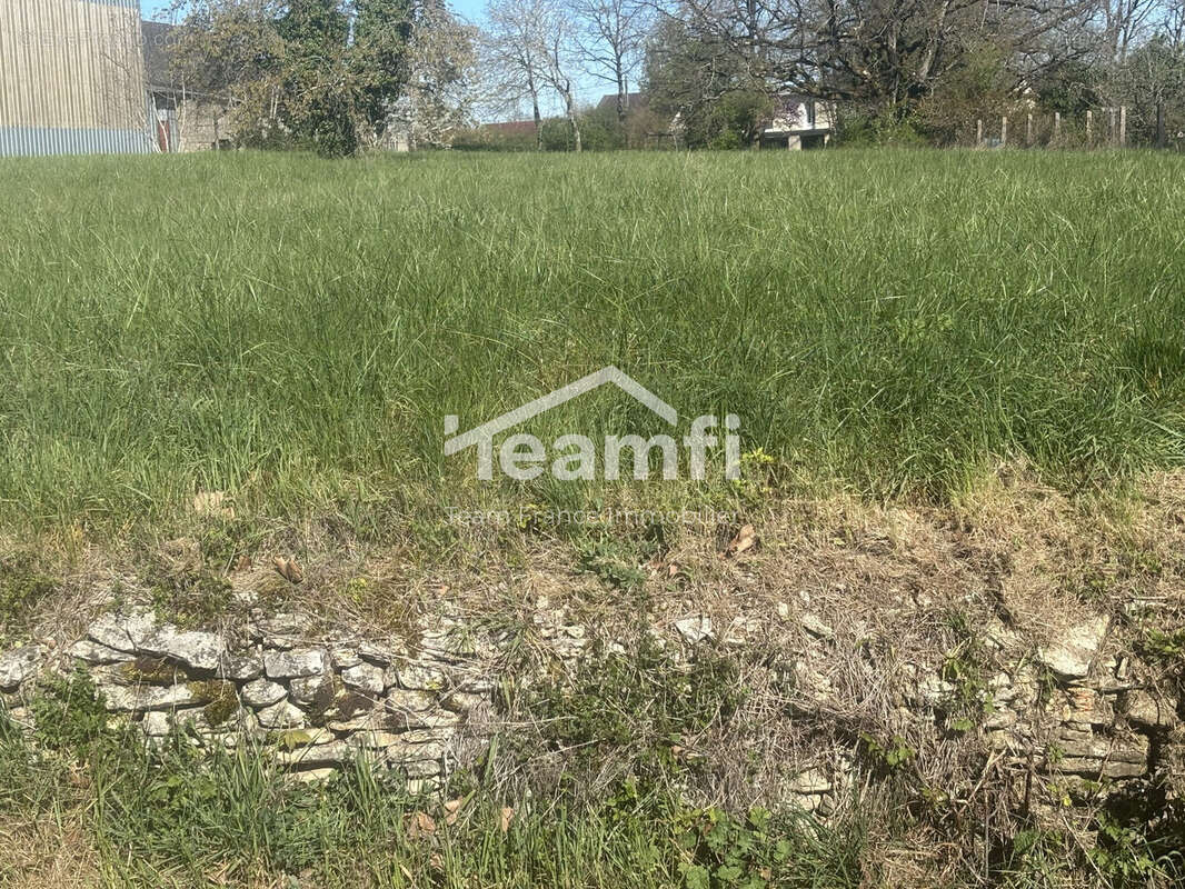 Terrain 4190 m² à Venesmes  - photo 4