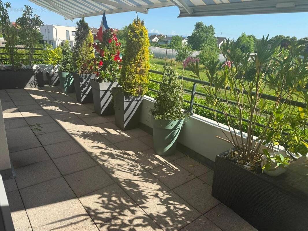 Photo 1 - Appartement à VILLAGE-NEUF