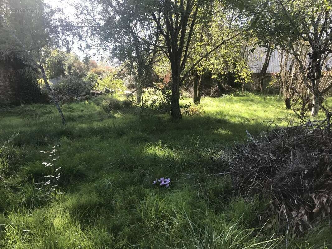 Appartement à LUSSAC-LES-EGLISES