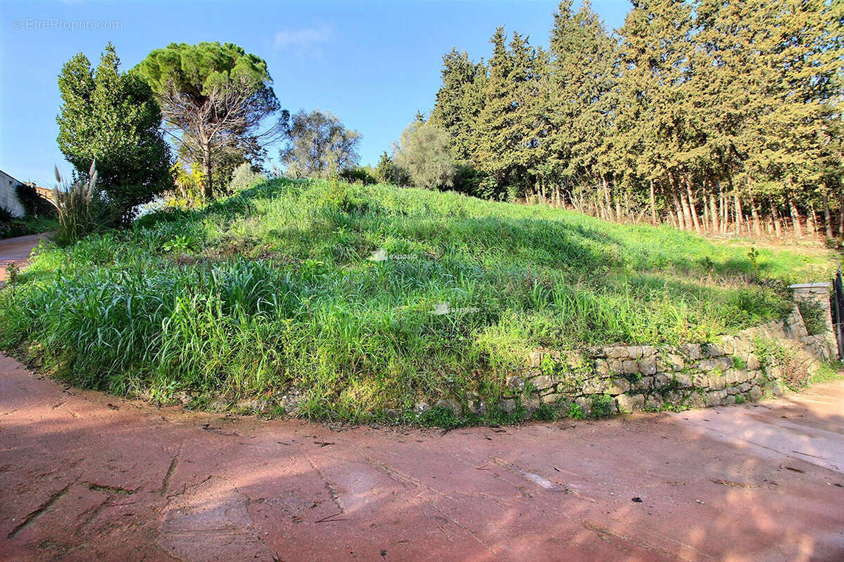 Terrain à MOUGINS