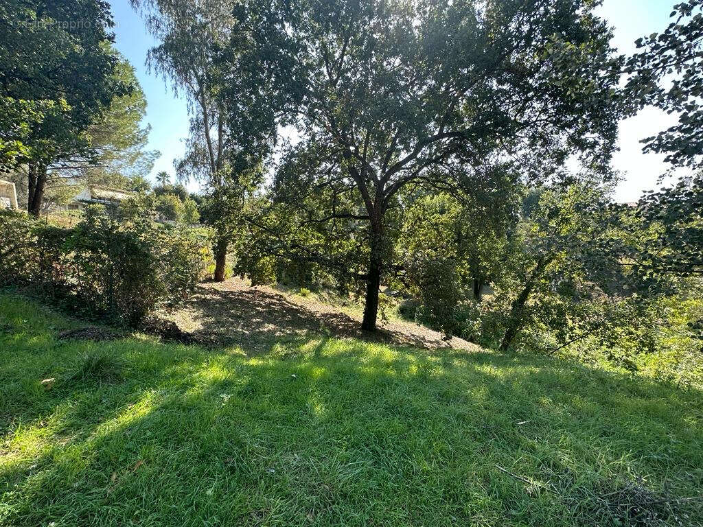 Terrain à SAINT-PAUL