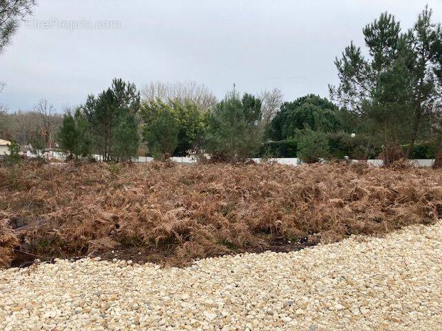 Terrain à SAINT-MAIXANT