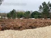 Terrain à SAINT-MAIXANT