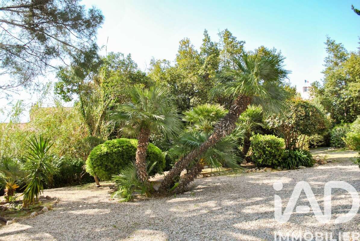 Photo 8 - Appartement à CANNES