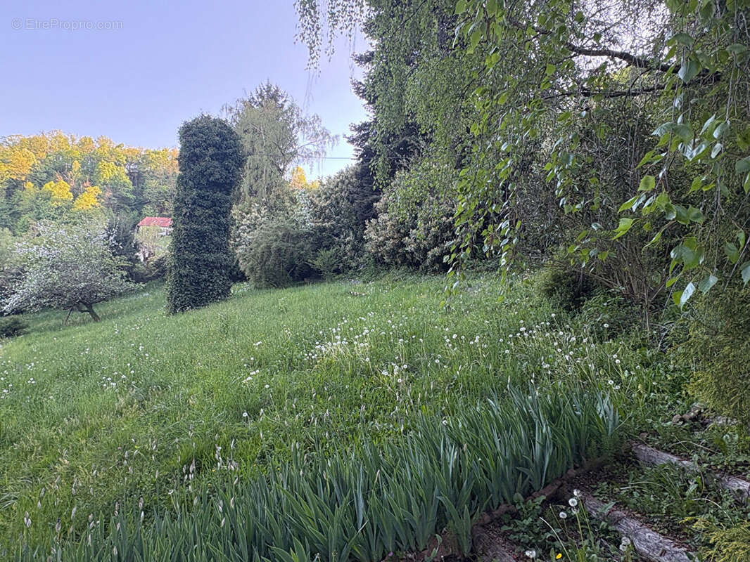 Terrain à TULLINS