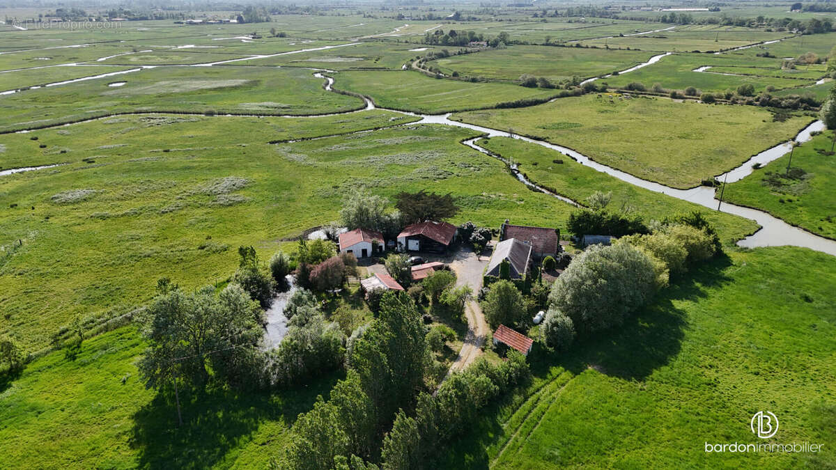 Maison au coeur des marais - 173 m² - Environnement calme et paisible - photo 5