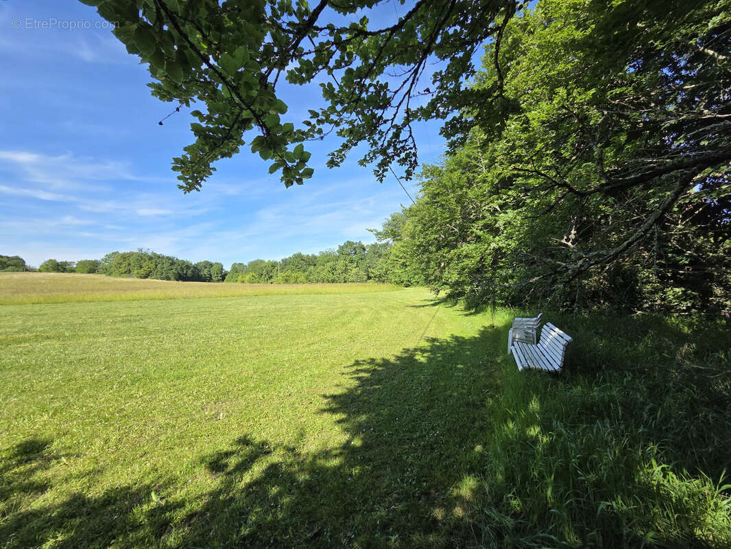 Superbe maison de Maître avec ses dépendances au coeur de la nature du Lot et Garonne - photo 47
