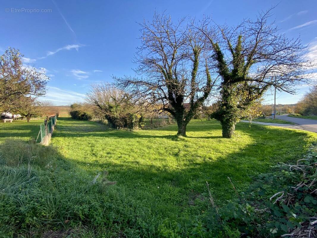 Terrain à SAINT-UZE