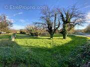 Terrain à SAINT-UZE