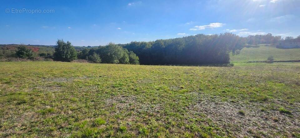 Terrain à BEAUVAIS-SUR-TESCOU