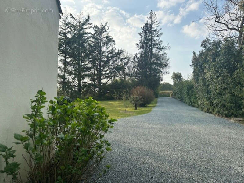 La Roche-sur-Yon Sud, sur la commune d'Aubigny, maison de style rétais de 179 m², 5 chambres, 2334 m² avec piscine - photo 12
