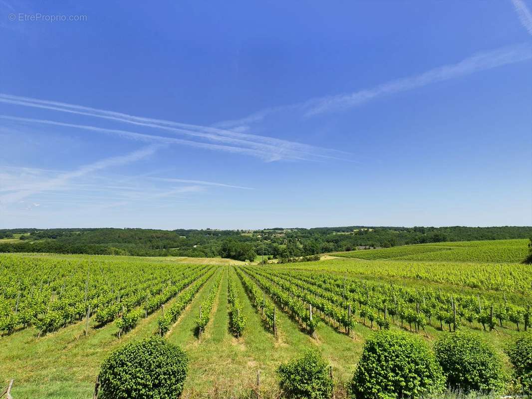 Maison à SAINTE-FOY-LA-GRANDE