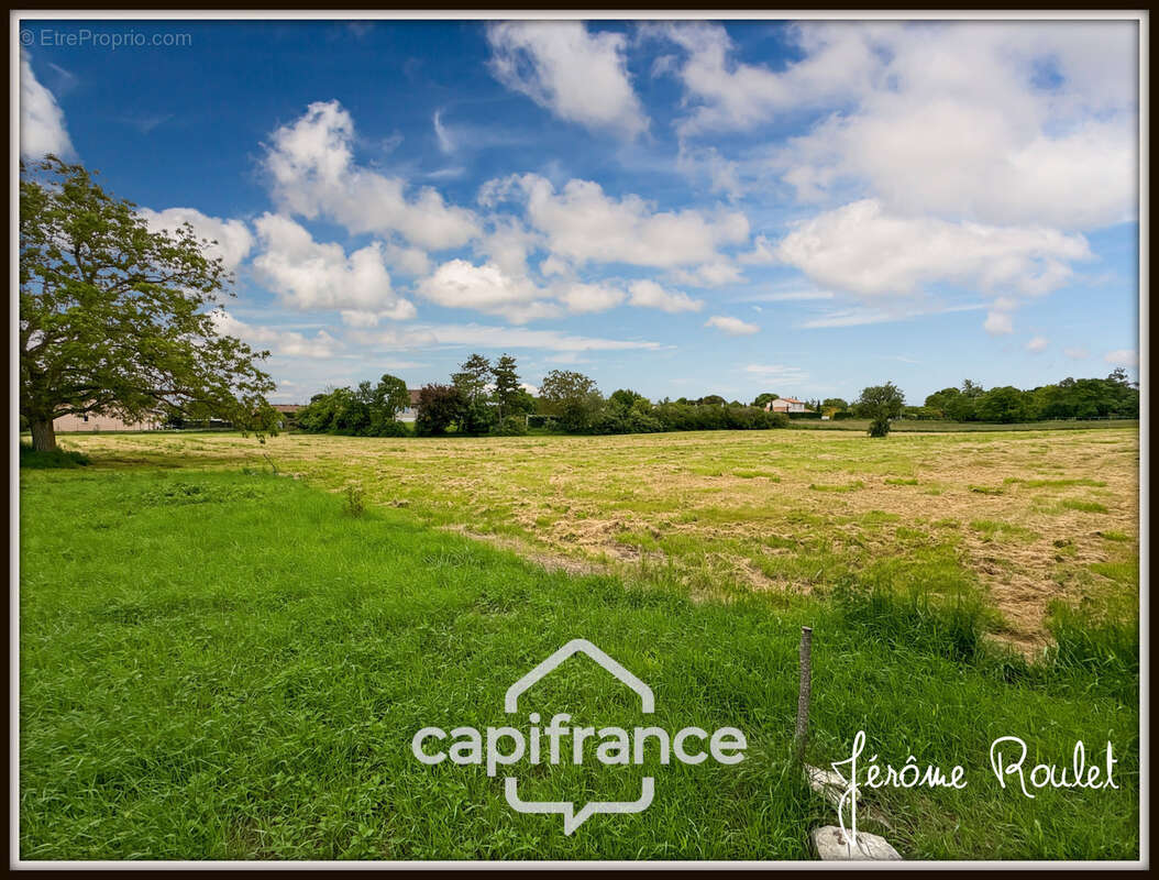 Maison en pierre à vendre 5 pièces 3 chambres Dépendances Terrain 1,5 ha Champigny-En-Rochereau (86) - photo 31