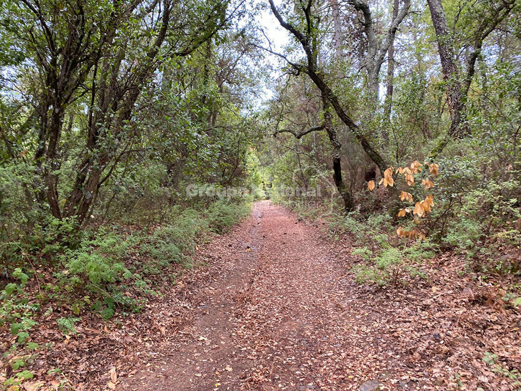 Terrain à LES MAYONS