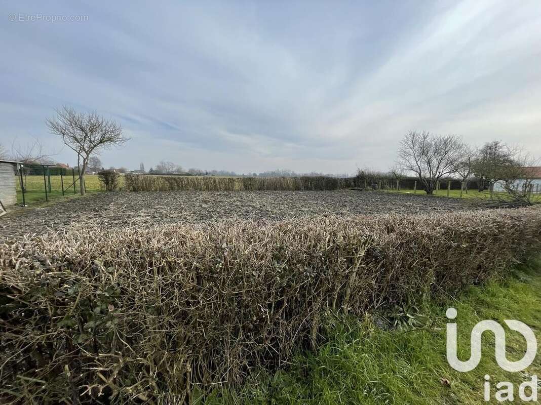 Photo 9 - Terrain à LOOBERGHE