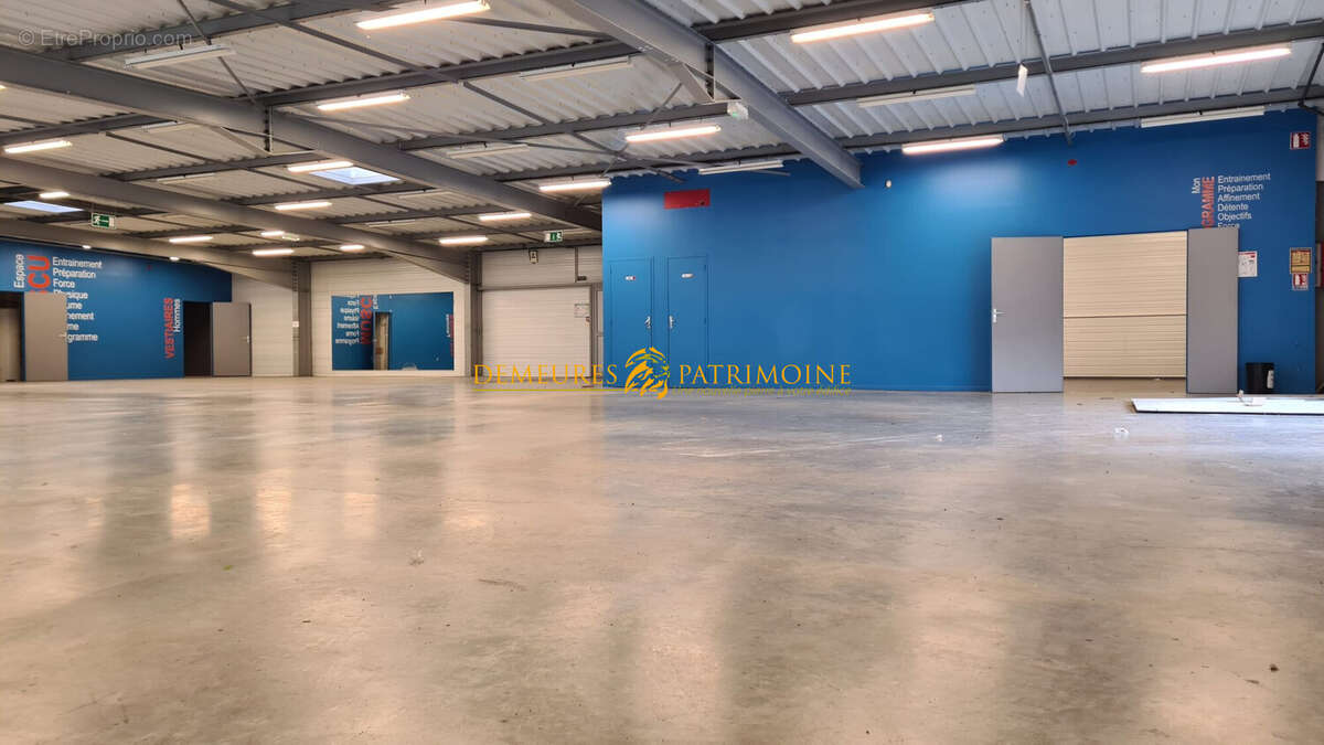 Commerce 797 m² à Champniers  - photo 7