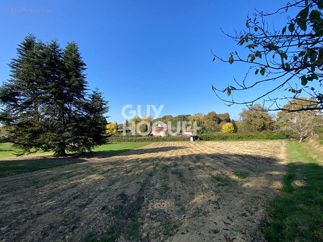 Terrain à SAINTE-COLOMBE