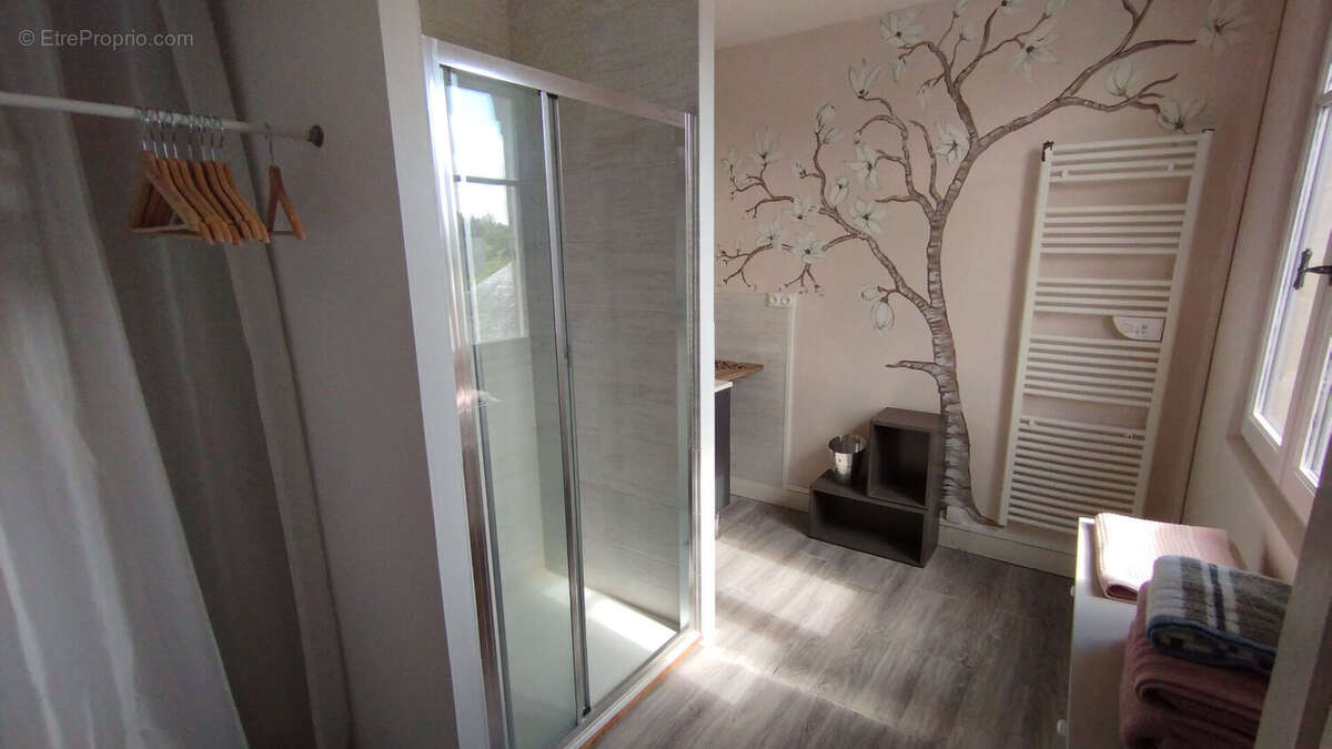 Maison à LE PETIT-PRESSIGNY