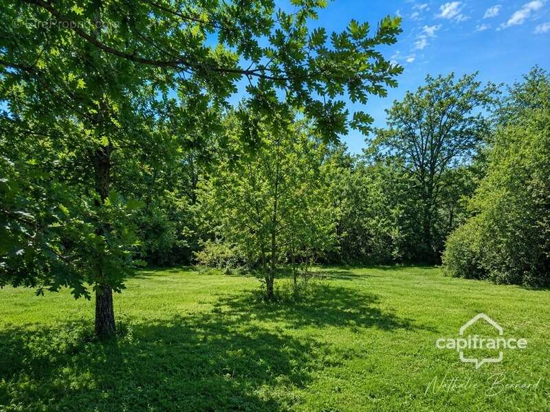 Maison de plain-pied 115 m² ALLEZ ET CAZENEUVE (47) - photo 19