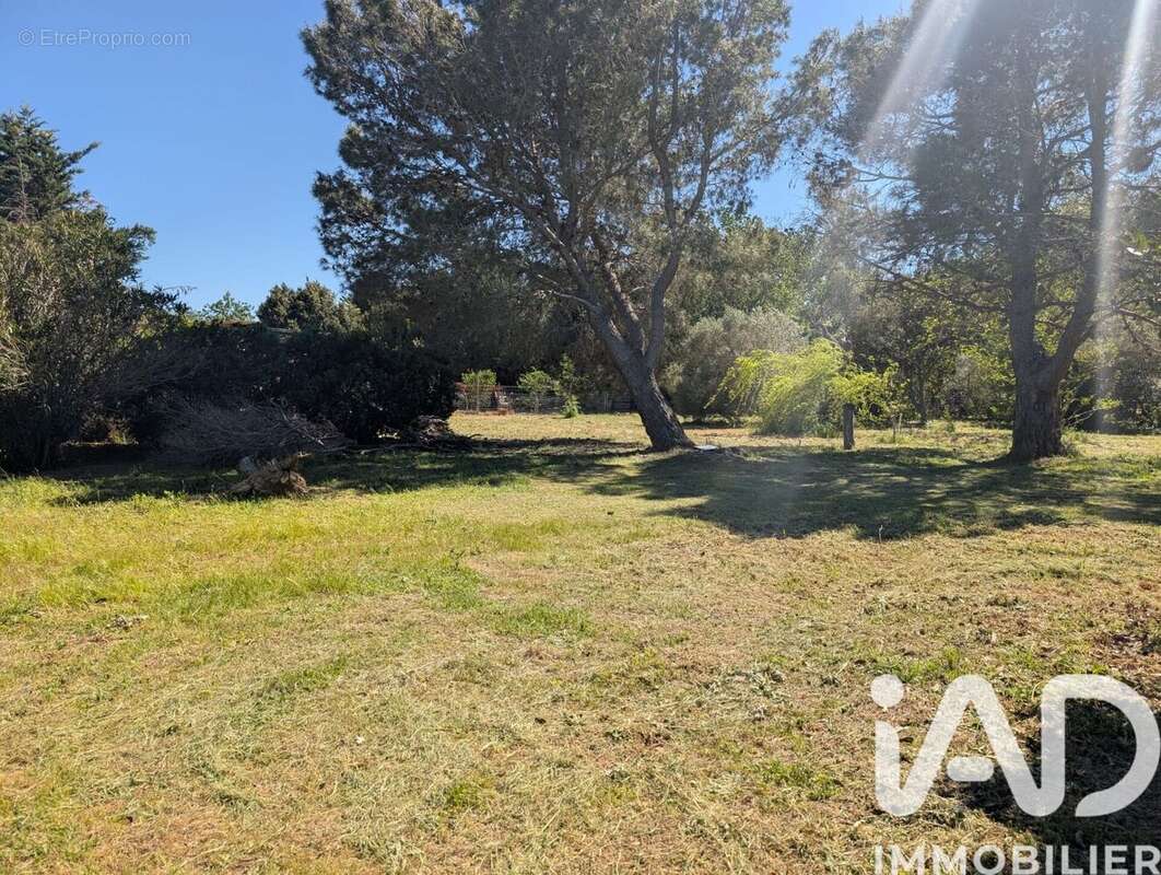 Photo 4 - Terrain à LE SOLER