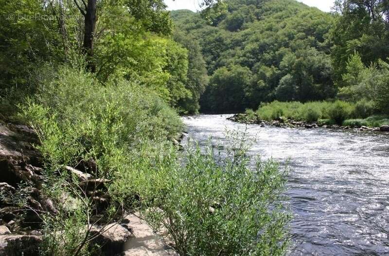 Maison à VIEILLEVIE