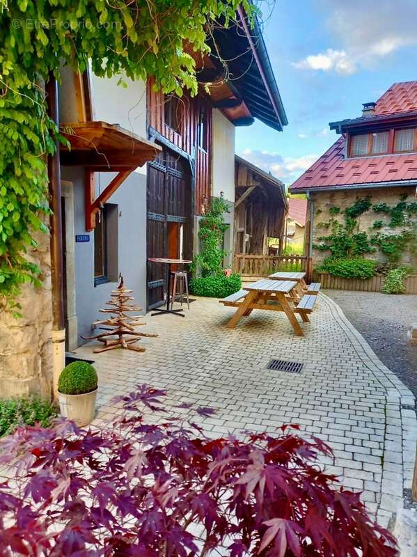 Dpt haute savoie (74), à vendre thollon-les-memises maison-gîte coeur de station - photo 35