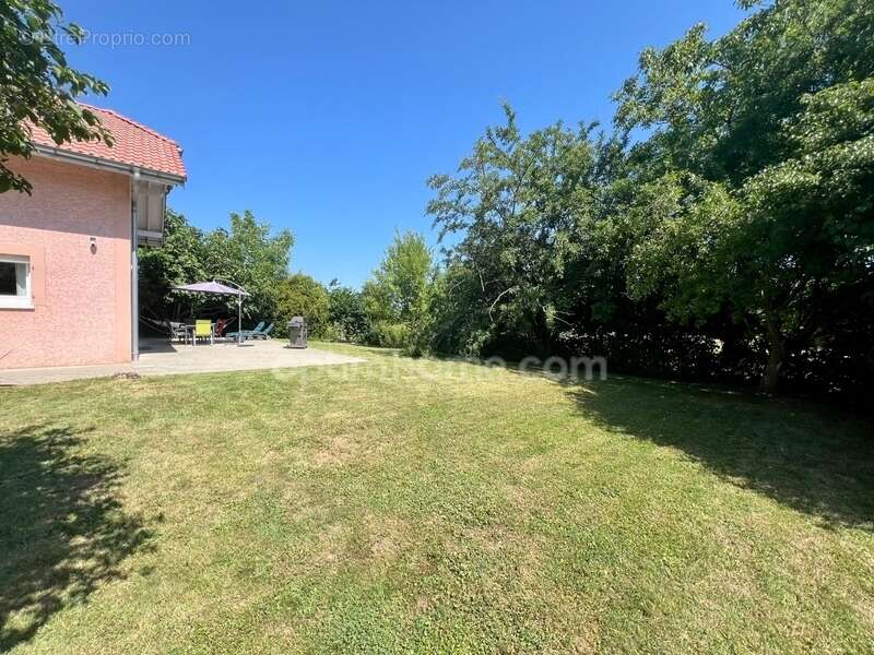 Maison à LA BALME-DE-SILLINGY