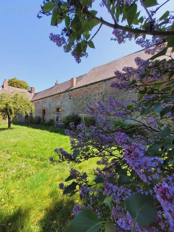Maison à AVESNELLES