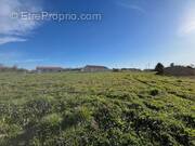 Terrain à CHERVES-RICHEMONT