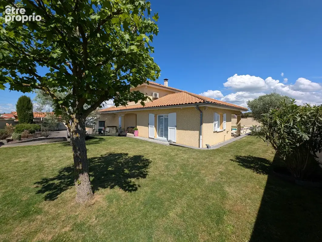 n°5