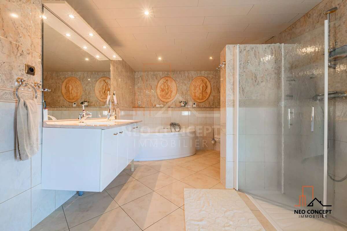 Maison à REICHSHOFFEN