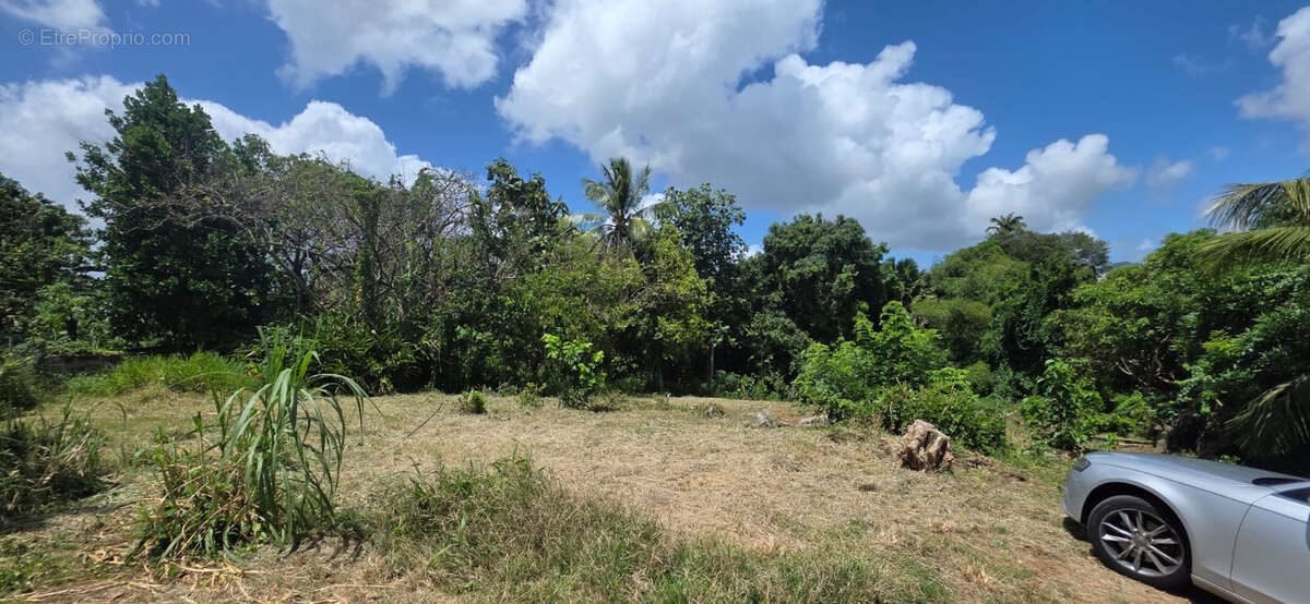 Terrain Bois Carré - photo 2